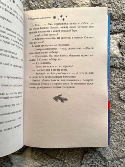 Настасья Чигирина: В Мышином Королевстве