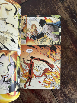 Алан Грант: Бэтмен. Тень Летучей Мыши. Ядовитый Плющ. Год 1-й