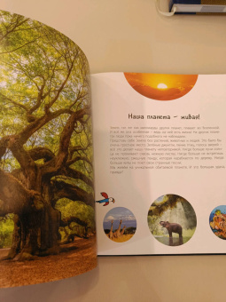 Мак Гагельдонк: Тайны космоса. Звёзды и планеты бескрайней Вселенной