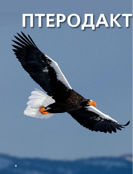 Дикие животные России