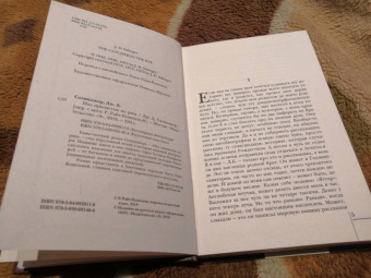 Джером Сэлинджер: Над пропастью во ржи