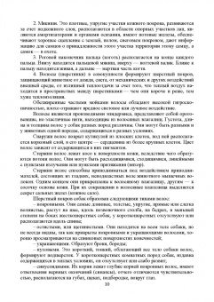Стекольников, Щербаков, Яшин: Декоративное собаководство. Учебное пособие для вузов