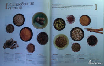 Арабская кухня: Иллюстрированная энциклопедия "Кулинарные шедевры народов мира". Том 6