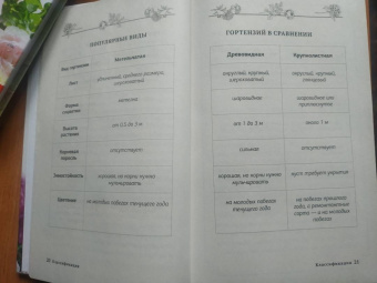 Лариса Кочелаева: Энциклопедия цветовода