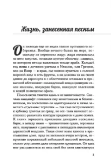 Егор Фетисов: Жизнь, занесенная песком