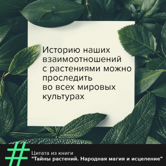 Фез Инкрайт: Тайны растений. Народная магия и исцеление
