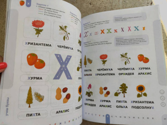 Ирина Мальцева: Буквы. Учимся уверенно узнавать буквы и слова. 5-6 лет