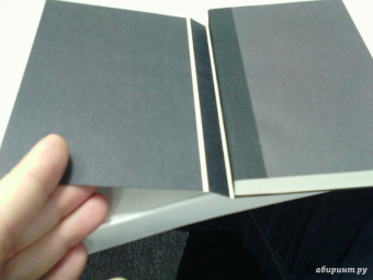 Соломон Нортап: 12 лет рабства. Реальная история предательства, похищения и силы духа