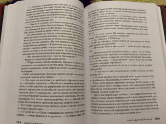 Николя Бегле: Пассажир без лица