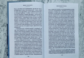 Винс Пассаро: Безумная тоска