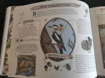 Секретная жизнь фей