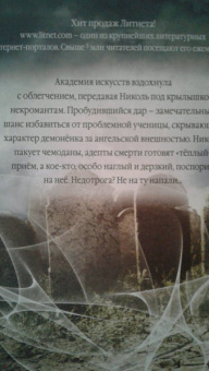 Кристина Корр: Недотрога в академии некромантов