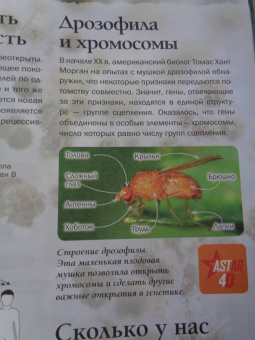 Анна Спектор: Живой мир