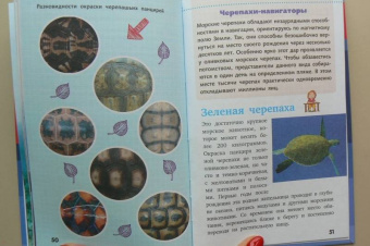 Дмитрий Кошевар: Жители морей и океанов