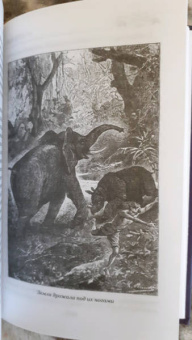 Андре Лори: Капитан Трафальгар