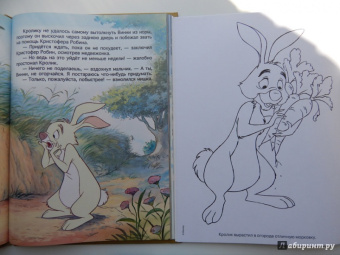 Волшебная раскраска. Винни и его друзья (№14017)
