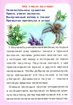 Г. Попова: Слогочиталка. Секреты природы. Рассказы о букашках. ФГОС ДО