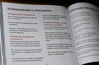 Рэй Далио: Принципы успеха. Иллюстрированное издание для любого возраста