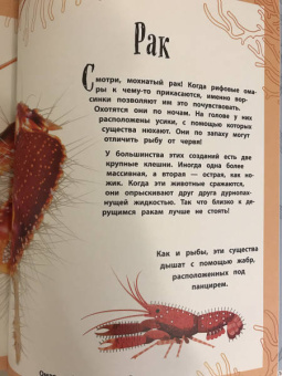 Бен Хоар: Чудеса природы. Энциклопедия