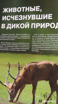 Скалдина, Слиж: Красная книга. Животные мира
