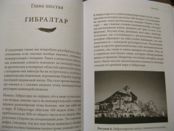 Клайв Финлейсон: Умный неандерталец. Охота на птиц, пещерное искусство и когнитивная революция
