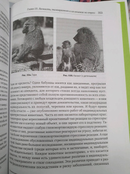Роберт Сапольски: Почему у зебр не бывает инфаркта. Психология стресса