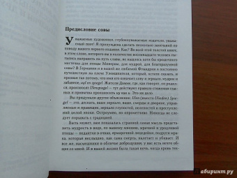 Шарль Костер: Легенда об Уленшпигеле и Ламме Гудзаке, об их доблестных,забавных и достославных деяниях во Фландрии