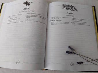 Полина Лопухина: Witch Journal. Ведьмовские практики круглый год