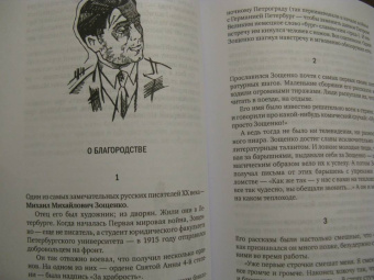 Мариэтта Чудакова: Не для взрослых