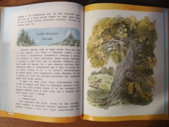 Ирина Токмакова: Счастливо, Ивушкин!