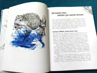Джанумберто Аччинелли: Эффект домино. Невидимые нити природы