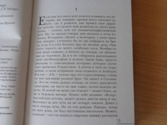 Джером Сэлинджер: Над пропастью во ржи