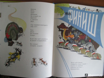 Юрий Коринец: Лесное состязание