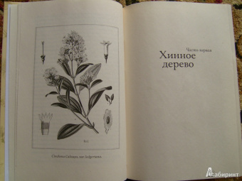 Элизабет Гилберт: Происхождение всех вещей