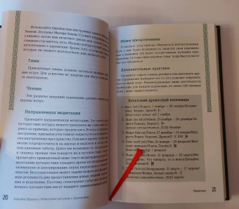 Шарлин Идальго: Кельтские ритуалы с деревьями. Церемонии для тринадцати лунных месяцев и одного дня