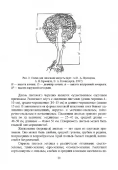 Мешков, Терехова, Константинович: Овощеводство. Практикум. Учебное пособие для СПО
