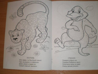 Елена Михайленко: Эти милые зверушки. Раскраска
