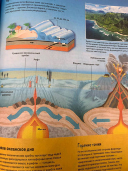 Анна МакРей: Океаны и моря. Виртуальная реальность