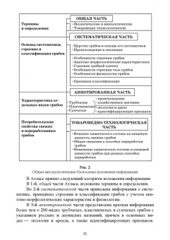 Николаева, Позняковский, Рязанова: Атлас аннотированный. Грибы. Учебное пособие для вузов