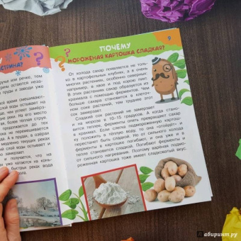 Владимир Малов: 100 тысяч зачем