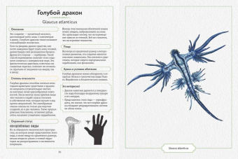 Сэми Бэйли: Энциклопедия опасных животных