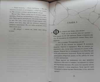 Катарина Херцог: Фэй. Сердце из лавы и света