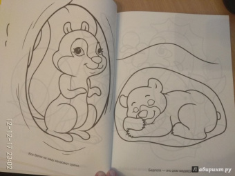 Большая раскраска "Животные"