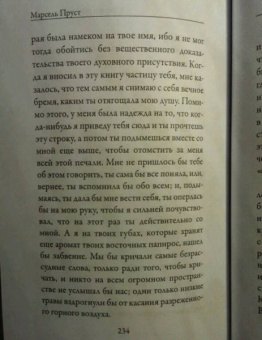 Марсель Пруст: Утехи и дни