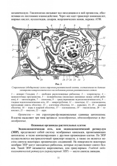 Имескенова, Татарникова: Ботаника. Учебное пособие для вузов