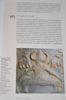 Иан Бейкер: Тибетская йога. Теория и практика тантрического буддизма