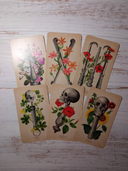 Клэр Гудчайлд: Antique Anatomy Tarot. Таро античной анатомии