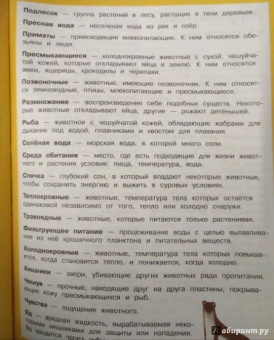 Стив Паркер: Дикие животные. Отправляйтесь в удивительный мир!