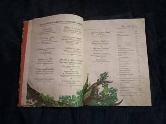 Тибо Вилланова: Кулинарная книга Ghibli. 35 рецептов, вдохновленных легендарной анимационной студией
