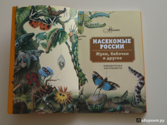 Владимир Горбатовский: Насекомые России. Жуки, бабочки и другие